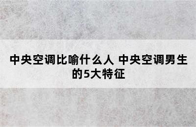 中央空调比喻什么人 中央空调男生的5大特征